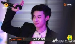 王琳凯被前嫂子爆料视频,真相究竟如何？