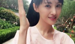 郑爽外网爆料视频大全,揭秘明星私生活背后的真相